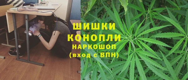 mdpv Белокуриха