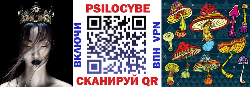 Галлюциногенные грибы MAGIC MUSHROOMS  купить закладку  Курильск 
